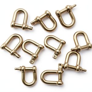 Generic Stainless Steel Mini D Shackle Dog Tag-0